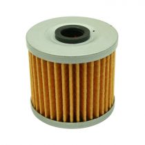 AEM 25-203 High Volume Fuel Filter Element for 25-200BK-Close Up View
