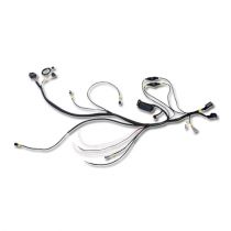 AEM Infinity Plug and Play Harness: Ford 5.0L Coyote