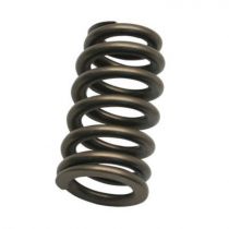 Front side of Fuel Pressure Regulator spring for FPR90