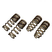 Tein High Tech Lowering Springs