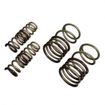 Tein High Tech Lowering Springs