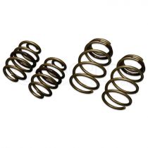 Tein High Tech Lowering Springs