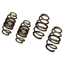 Tein High Tech Lowering Springs
