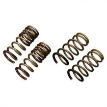 Tein High Tech Lowering Springs