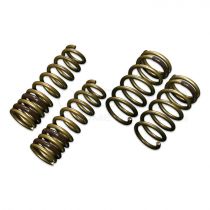 Tein High Tech Lowering Springs