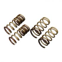 Tein High Tech Lowering Springs