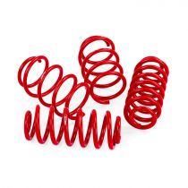 APR Roll-Control Lowering Springs for VW MK7 Golf R PN:SUS00003