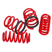 APR Roll-Control Lowering Springs for Audi S3/RS3 Sedan 8V (from 2015)