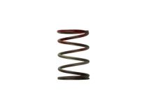 Turbosmart Gen 4/IWG WG38/40/45/50L 11PSI MIDDLE SPRING - BROWN/RED